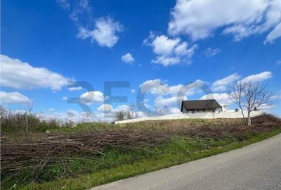 RECO teren de in zona Paleu - 11