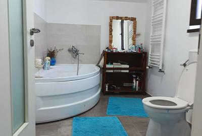 Casă cu 3 camere în Rudicica - 3