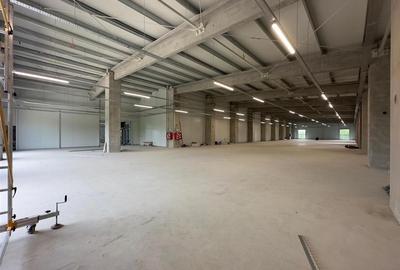 Spațiu comercial, de 300 mp, în Exterior Sud - 3