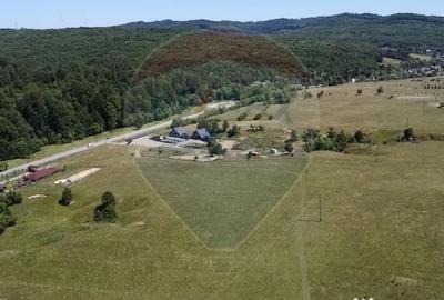 Teren de 5561 mp, în Paltin - 8