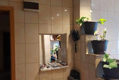 Apartament 2 camere Brazda lui Novac - 2