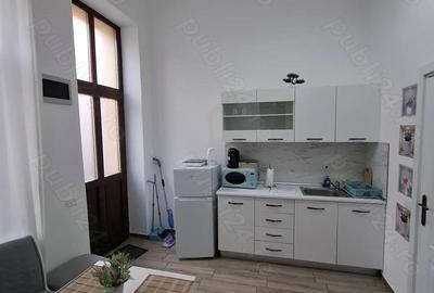 Chirie apartament cu o camera ultracentral - 6