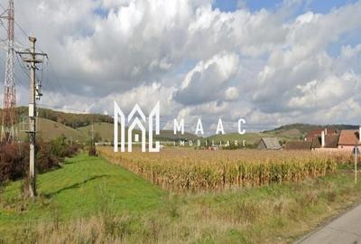 Teren | Proiect Case | Intavilan | 7000mp | Cristian - 3