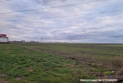 Corbu- Teren 2500mp la intrare in localitate pe dreapta - 14