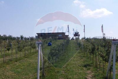 Vanzare teren Livada - Ferma Arges - Izbasesti / DN 142 l... - 2
