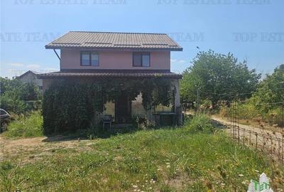 Vila individuala regie proprie 5 camere in Ciutaci (Domnesti)