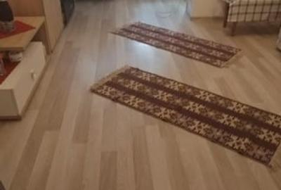 Garsoniera Costin Georgian - 2