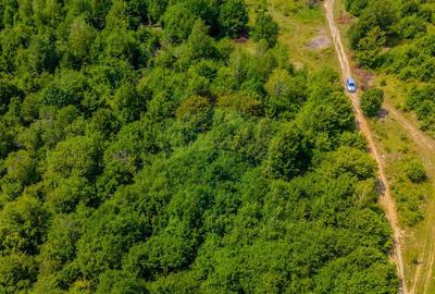 COMISION 0% Teren Grid/Inima Naturii/ Oportunitate de inv... COMISION 0% Teren Grid/Inima Naturii/ Oportunitate de inv... - 6