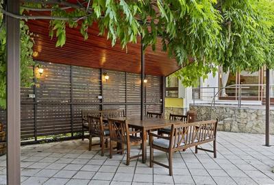 Casă individuală cu 10 camere cu Piscina în Iancu Nicolae - 29