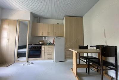 Apartament cu 1 camera de inchiriat in zona Stadionului Dan Paltinisanu - 2