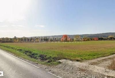 Teren de 13060 mp, în Voinești - 1