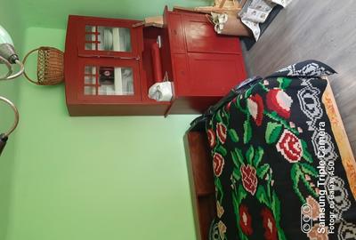 Casă cu 3 camere cu Teren 3800 Mp în Șăușa - 2