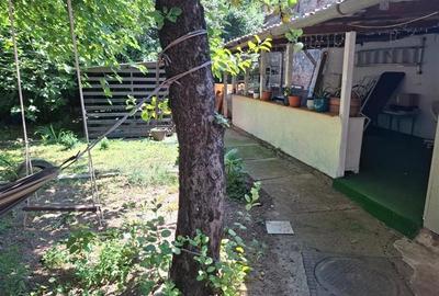 Inchiriez casa 3 camere zona Elisabetin - 3