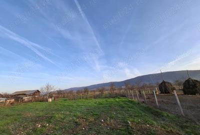 Casă cu Teren 4443 Mp în Pleșoiu (Nicolae Bălcescu) - 4