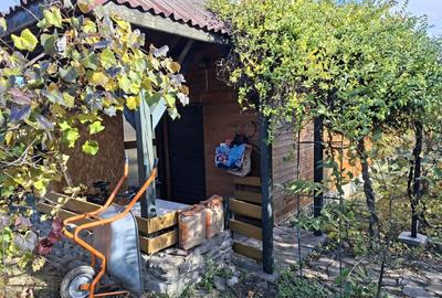 Casă cu 5 camere cu Teren 7017 Mp în Pruni - 6