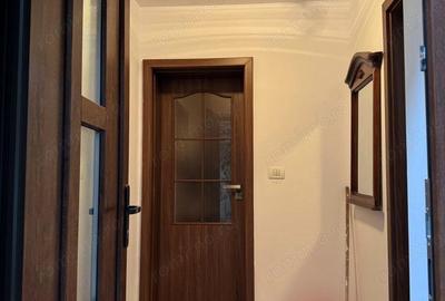 CI495 Apartament istoric Parter+Demisol,renovat,Piata Traian - 18