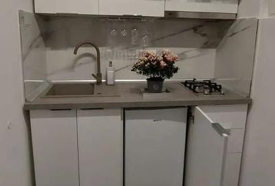 Garsonieră renovată, boiler, etaj 9, metrou 1 Decembrie 1918 - 4