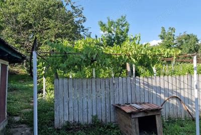 Casă cu 2 camere în Cozia - 1