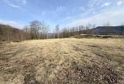 Spațiu comercial, în Păușești - 7