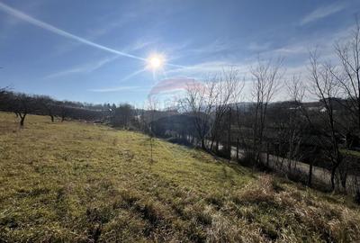 Teren intravilan de 34425 mp, în Bădeni - 3