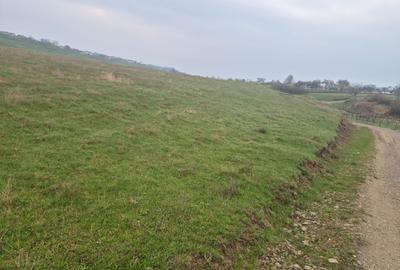 Teren extravilan de 10070 mp, în Lipoveni - 3