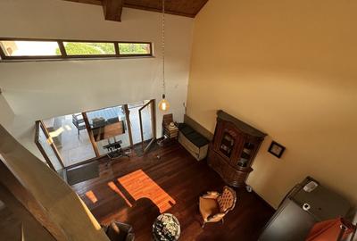 Proprietate cu piscina Dumbravita - 18