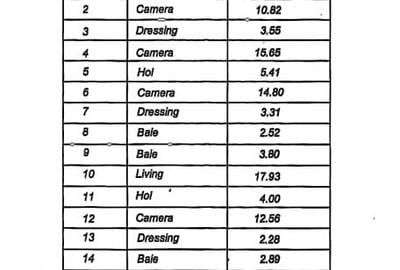Exclusiv Vanzare Vila Ovidiu compartimentare inteligenta - 10