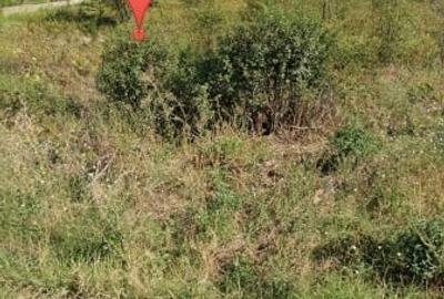 Teren de vanzare pe strada Oxigenului Teren de vanzare pe strada Oxigenului - 1