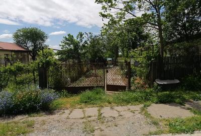 Casă cu 4 camere în Târnava - 1