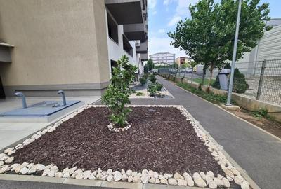 Apartament cu 2 camere decomandat, mobilat în Timișoara - 7