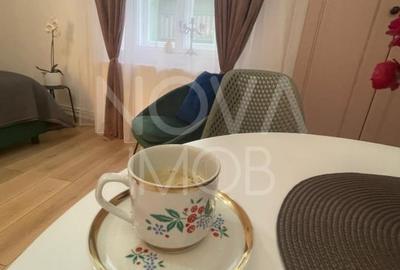 2 garsoniere, regim hotelier - Piata Armelor - 5