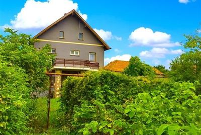 Imobil cu potential, constructie solida cu 2 apartamente,+demisol si garaj, Bras - 22