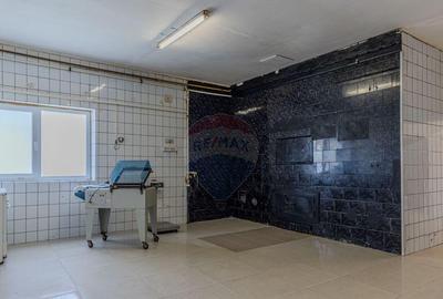 Spațiu comercial, de 246 mp, în Bod - 8