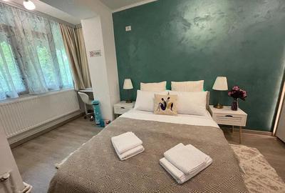 Apartament cu 2 camere nedecomandat în Tăbăcărie - 9