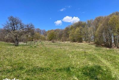 Teren de 3600 mp, în Central - 3