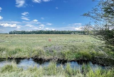 Teren Extravilan - 9