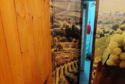 SPATIU COMERCIAL | TINERETULUI - 4