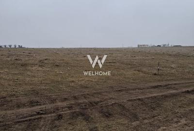 Teren agricol intravilan de 8000 mp, în Turnișor - 2