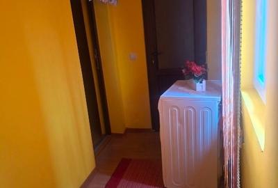 Casă individuală cu 3 camere cu Teren 2800 Mp în Gherteniș - 16
