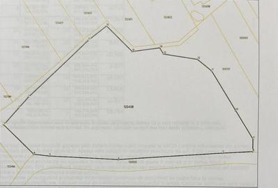 Teren intravilan langa lac padure locatie superba Corbeanca - 4