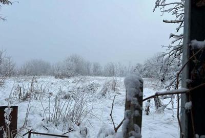 Crevedia - sat Samurcasi- str.Ernest Maftei, teren 5958 mp - 2