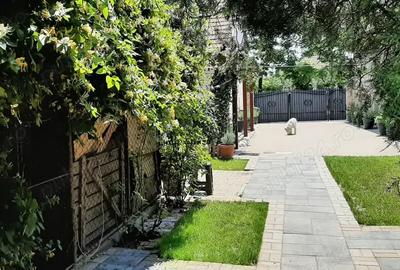 Casă cu 4 camere cu Teren 1101 Mp în Becicherecu Mic - 4