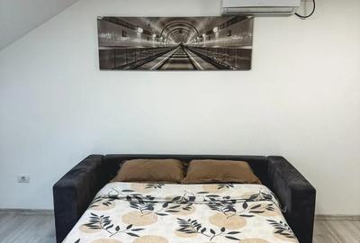 Ofer spre inchiriere STUDIO Modern si Primitor - 5