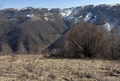 Spațiu comercial, în Mărișel - 7