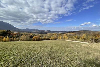 Teren intravilan zona Bran-Tohanita, judetul Brasov intre 500 si 1000 mp la 5 km de Moieciu - 5
