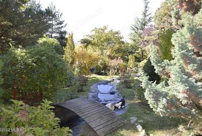Casă cu 6 camere cu Canalizare în Topoloveni - 2