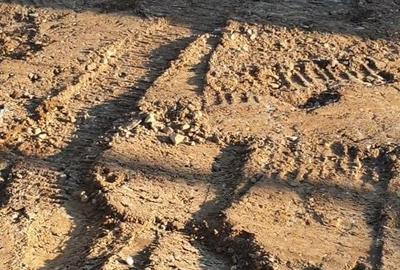 Spațiu comercial, în Dubova - 3