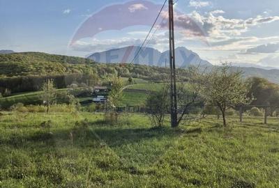 Comision 0 %/Teren intravilan 11.600mp Poiana Marului / Natura/Poveste - 14
