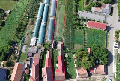 Casă individuală cu 3 camere cu Canalizare în Biharia - 3