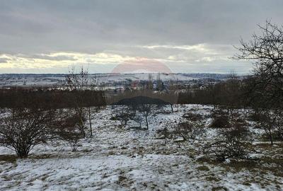 Teren 10,000mp Rada?eni / ?oseaua DN2-E85, jude?ul S... - 12